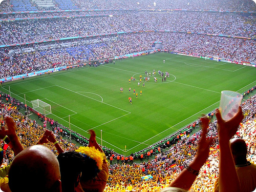 2010 FIFA World Cup Field